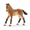 Schleich 13804 Tennessee Walker Fohlen 2 Schleich 13804 Tennessee Walker Fohlen -Schleich Verkaufsgeschäft 13804 2muobebjasq9yhf1
