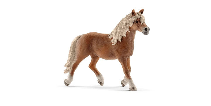 Schleich 13813 Haflinger Hengst 3 Schleich 13813 Haflinger Hengst