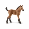 Schleich 13854 Quarter Horse Fohlen -Schleich Verkaufsgeschäft 13854 mvc931e6kp5dzzgg