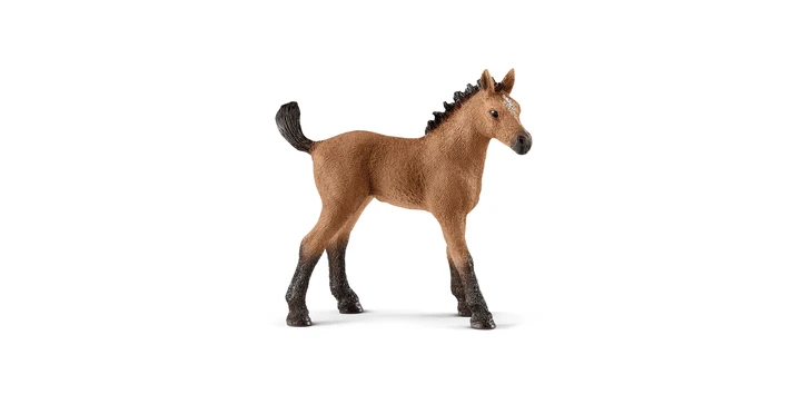 Schleich 13854 Quarter Horse Fohlen 3 Schleich 13854 Quarter Horse Fohlen