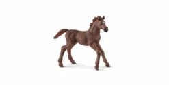 Schleich 13857 Englisch Vollblut Fohlen