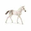 Schleich 13860 Holsteiner Fohlen -Schleich Verkaufsgeschäft 13860 sthfnulygdceonyk
