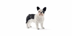 Schleich 13877 Französische Bulldogge