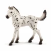 Schleich 13890 Knabstrupper Fohlen -Schleich Verkaufsgeschäft 13890 nfzag3rkbuvrz6op