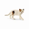 Schleich 13894 Amerikanische Kurzhaarkatze 1 Schleich 13894 Amerikanische Kurzhaarkatze -Schleich Verkaufsgeschäft 13894 quuj2jrwjvwyrmqm