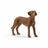 Schleich 13895 Rhodesian Ridgeback 2 Schleich 13895 Rhodesian Ridgeback -Schleich Verkaufsgeschäft 13895 li250nzyyhmsacox