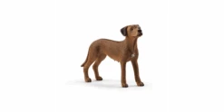 Schleich 13895 Rhodesian Ridgeback