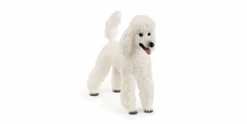 Schleich 13917 Pudel