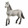 Schleich 13924 Pura Raza Española Jungpferd 2 Schleich 13924 Pura Raza Española Jungpferd -Schleich Verkaufsgeschäft 13924 rir3gz7lqnwe81au