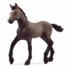 Schleich 13954 Paso Peruano Fohlen -Schleich Verkaufsgeschäft 13954 main xa5uu8swmctxt8zr