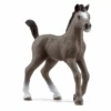 Schleich 13957 Cheval De Selle Francais Fohlen 2 Schleich 13957 Cheval De Selle Francais Fohlen -Schleich Verkaufsgeschäft 13957 main eun5mkddjbcxjtaf