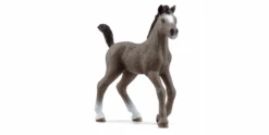 Schleich 13957 Cheval De Selle Francais Fohlen