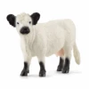 Schleich 13960 Galloway Kuh 2 Schleich 13960 Galloway Kuh -Schleich Verkaufsgeschäft 13960 main 379m4gnusnhirtht
