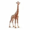Schleich 14750 Giraffenkuh -Schleich Verkaufsgeschäft 14750 ks9oixaes3ayrfhs