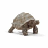Schleich 14824 Riesenschildkröte -Schleich Verkaufsgeschäft 14824 rwempkqkfjnvskgz
