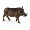 Schleich 14843 Warzenschwein -Schleich Verkaufsgeschäft 14843 r0be77iaitnt4hg5