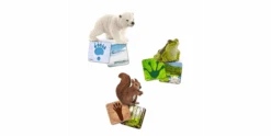 Schleich - Lernkarten Wild Life
