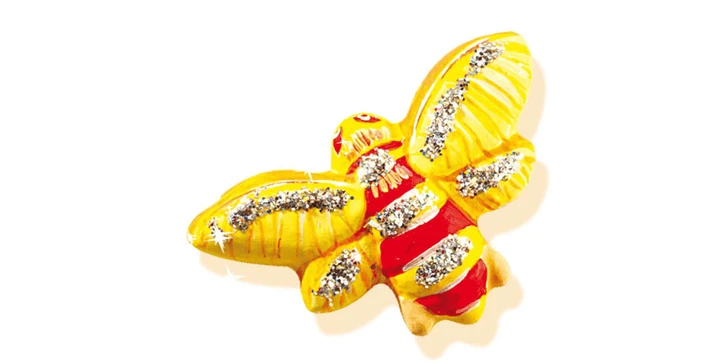 SES Glitzerschmetterlinge Gießen 6 SES Glitzerschmetterlinge Gießen – Bild 4